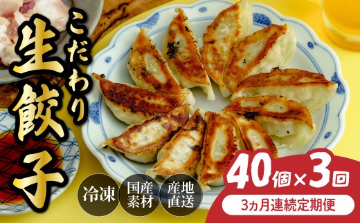 定期便 全3回 餃子 毎月40個 人気店の旨味あふれる冷凍餃子 | 大容量 ギョウザ 冷凍餃子 ギョーザ 冷凍ギョウザ 冷凍 冷凍ぎょうざ ぎょうざ ぎょーざ おいしい 手軽 食べ比べ 美味しい おつまみ 国産野菜 中華 簡単調理 惣菜 北本フーズ 埼玉県 北本市 2298985 - 埼玉県北本市