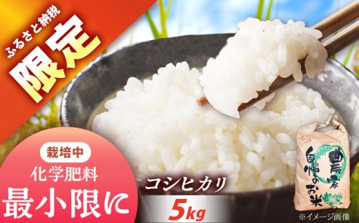 〈ふるさと納税限定！〉令和7年度産コシヒカリ 5キロ / 米 お米 コシヒカリ 新米 精米 白米 産地直送 / 恵那市 / トモファーム [AUCA003] 2292916 - 岐阜県恵那市