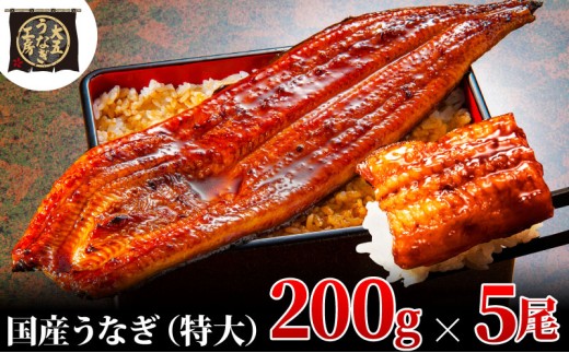 [№5695-1780]うなぎ蒲焼 200g×5尾(1kg) うなぎ ウナギ 鰻 蒲焼 蒲焼き冷凍 国産 大五 大五通商 静岡 島田市 1905195 - 静岡県島田市