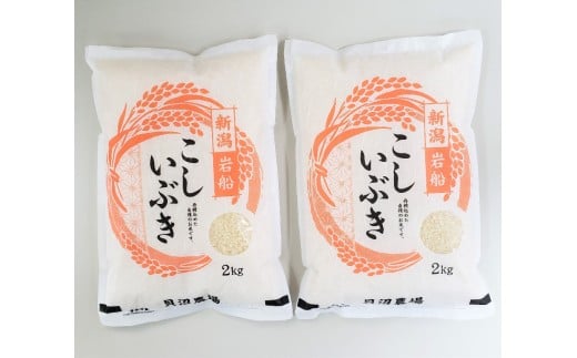 【令和7年産米】 こしいぶき 白米4kg（2kg×2） 新潟県村上市岩船産　1067100 2296828 - 新潟県村上市