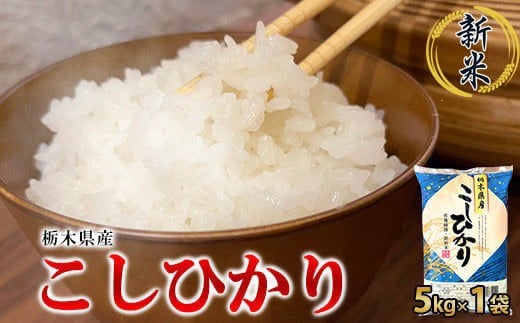 【令和7年産】栃木県産こしひかり（精米・5kg×1袋）　※離島への配送不可 1275760 - 栃木県宇都宮市