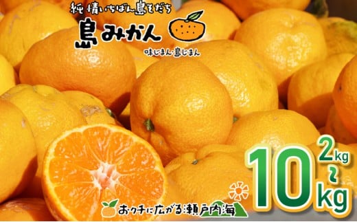 [11月下旬頃から発送予定]温州みかん 2kg/3kg/5kg/10kg 愛媛 中島産 希望の島 家庭用 みかん 柑橘 みかん 愛媛県産 みかん 松山市 みかん 中島 みかん 温州みかん 島みかん 蜜柑 温州みかん ミカン みかん 旬 温州みかん 島ミカン 青果物 みかん 温州みかん 中島産のみかん 柑橘 かんきつ 蜜柑 フルーツ デザート 人気のミカン 人気みかん 瀬戸内海のみかん