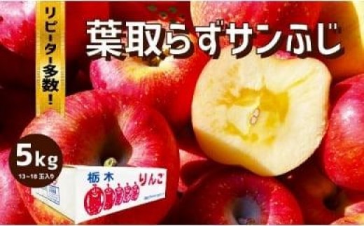 樹上完熟・葉とらず・りんご [ サンふじ ] 5kg  | りんご 果物 フルーツ サンふじ 産地直送 栃木県産 2198655 - 栃木県矢板市