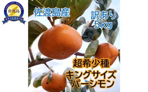 佐渡島の希少柿　幻のキングサイズパーシモン　訳あり品　5kg 2298645 - 新潟県佐渡市