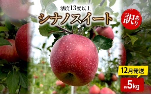 りんご【12月発送】糖度13度以上 訳あり品 家庭用 シナノスイート 約5kg【青森りんご】