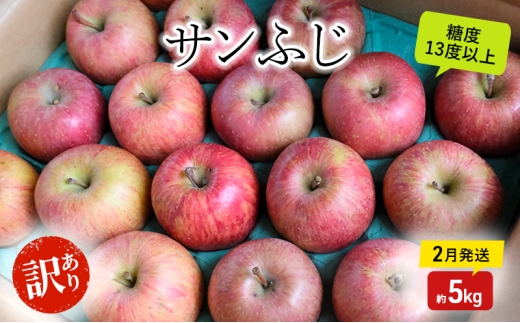 りんご【2月発送】糖度13度以上 訳あり品 家庭用 サンふじ 約5kg【青森りんご】果物類 フルーツ 林檎 リンゴ 弘前市 青森県 おやつ デザート