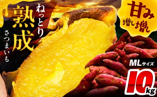 さつまいも 10kg / 焼き芋 焼きいも 紅はるか シルクスイート あまはづき 野菜 愛西市 / 川口農園 [AEDH002] 2296858 - 愛知県愛西市
