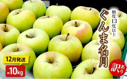 [№5554-0318]りんご【12月発送】糖度13度以上 訳あり 家庭用 ぐんま名月 約10kg【青森りんご】