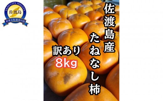 訳あり　佐渡島産たねなし柿8kg 2298647 - 新潟県佐渡市
