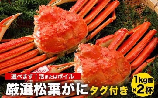 755.[選べます!活またはボイル]≪2025年11月発送≫ 特撰 松葉がに[ブランドタグ付き] 1kg超の大きいサイズ 食べ応えあり 特大2杯(1kg超×2杯)[松葉ガニ 松葉蟹 松葉かに 蟹 かに 山陰 特大 大きい 活 ボイル タグ付き 鳥取県産 鳥取県 北栄町 おすすめ 人気 新鮮]