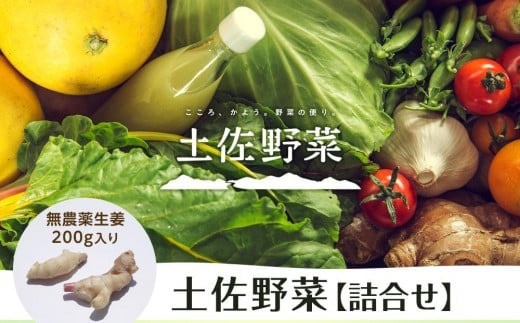 [土佐野菜]野菜の詰め合わせと無農薬生姜200g付き | 野菜セット セット しょうが 生姜 新鮮 野菜 人気 おすすめ 季節の野菜 高知県 南国市
