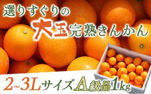 [先行予約][プレミアム]選りすぐりの大玉完熟きんかん1kg[玉様ファーム]