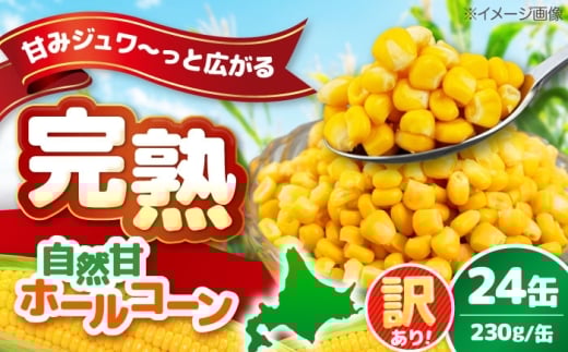 【訳あり】 自然甘ホールコーン 24缶（C7号缶）《喜茂別町》【きもべつ観光協会】 コーン コーン缶 とうもろこし トウモロコシ 北海道 常温 常温配送 [AJAG039] 10000 10000円 1万円