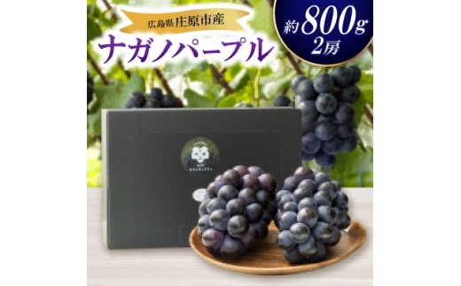 ＜先行受付 2026年発送＞ナガノパープル2房セット【1345435】 492284 - 広島県庄原市
