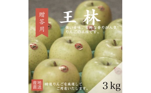＜産地直送＞王林 贈答用 3kg(7～10個)【1663939】