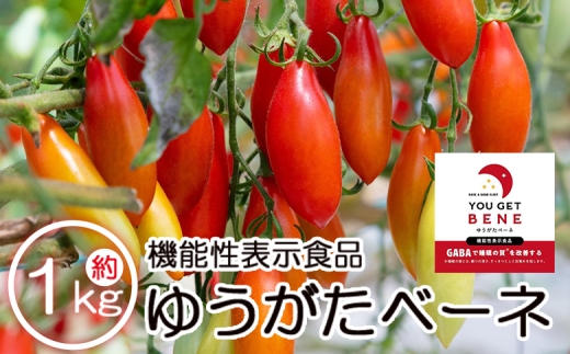 【先行受付】機能性表示食品 ミニトマト ゆうがたベーネ 1kg - ミニトマト プチトマト フルーツトマト ギフト のし対応 高糖度 お歳暮 御歳暮 贈答用 贈り物 is-0013 1126172 - 高知県香南市