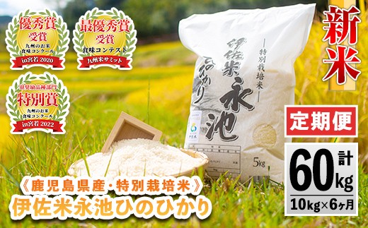 H4-01 【定期便】令和7年産 特別栽培米 伊佐米永池ひのひかり(計60kg・10kg×6ヶ月) 伊佐市 永池 お米 米 白米 精米 伊佐米 食味コンテスト 最優秀賞受賞 ヒノヒカリ 【エコファーム永池】 313076 - 鹿児島県伊佐市