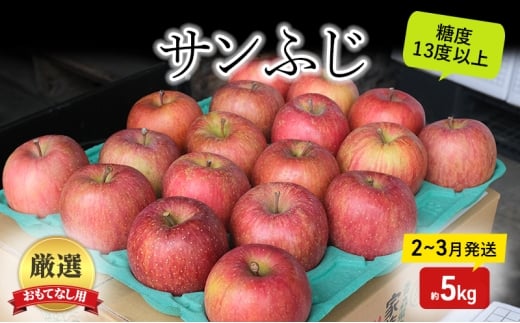 りんご【2月～3月発送】糖度13度以上 おもてなし用 家庭用 サンふじ 約5kg【青森りんご】果物類 フルーツ 林檎 リンゴ 弘前市 青森県 おやつ デザート