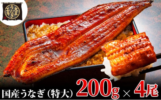 [№5695-1771]うなぎ蒲焼 200g×4尾(800g) うなぎ ウナギ 鰻 蒲焼 蒲焼き冷凍 国産 大五 大五通商 静岡 島田市 1905186 - 静岡県島田市