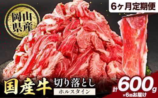 牛肉 肉 国産牛 切り落とし ホルスタイン 大容量 小分け 600g × 6ヶ月定期便 《お申込み月の翌月から出荷開始》岡山県産 岡山県 笠岡市 お肉 にく カレー 牛丼 牛肉 切り落し 小分け 切落し 牛肉 小分け 牛肉