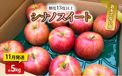 [№5554-0319]りんご【11月発送】糖度13度以上 シナノスイート おもてなし品  約5kg【青森りんご】