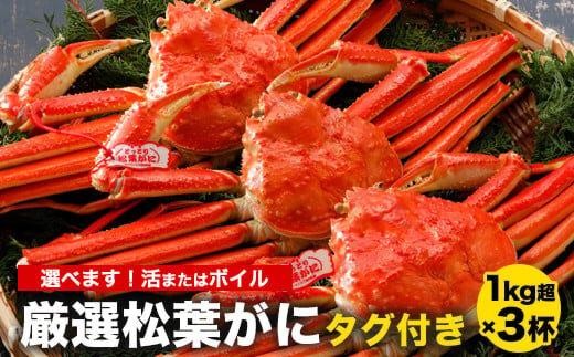 754.[選べます!活またはボイル]≪2025年11月発送≫ 特撰 松葉がに[ブランドタグ付き]1kg超の大きいサイズ 食べ応えあり 特大3杯(1kg超×3杯)[松葉ガニ 松葉蟹 松葉かに 蟹 かに 山陰 特大 大きい 活 ボイル タグ付き 鳥取県産 鳥取県 北栄町 おすすめ 人気 新鮮]
