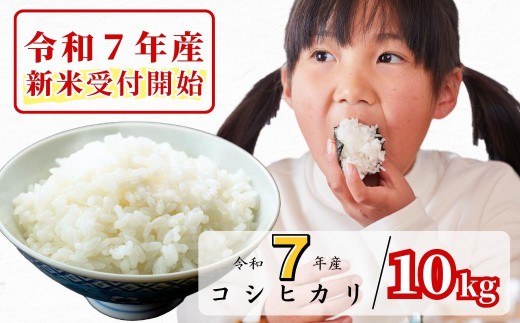 《令和7年産新米受付開始》白米 10kg 令和7年産 コシヒカリ 岡山 あわくら源流米 K-ag-AEFA 1973733 - 岡山県西粟倉村