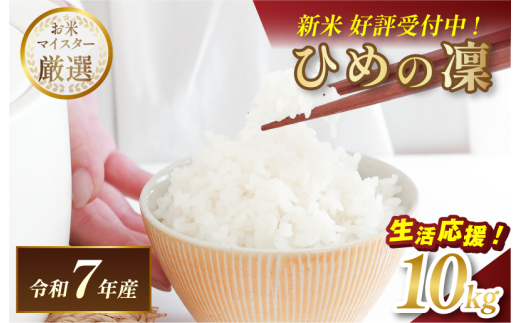 ＼数量限定／令和7年産 愛媛県産 ひめの凜 10kg 【V003290K10】【令和7年11月以降順次発送】マルヒ食糧 コメ おこめ 新米 白米 数量限定 家計応援米 令和7年度産 精米 まるひ 国産 家庭用 ふるさと納税こめ ふるさと納税米10キロ米 ブランド米