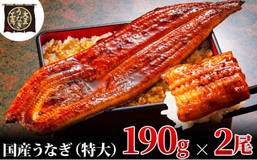 [№5695-1752]うなぎ蒲焼 190g×2尾(380g) うなぎ ウナギ 鰻 蒲焼 蒲焼き冷凍 国産 大五 大五通商 静岡 島田市 1905167 - 静岡県島田市