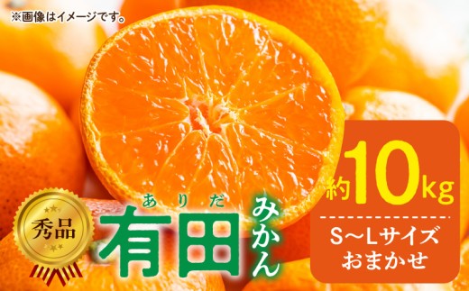 DZ6200_12_【2025年12月発送】【ふるさと納税】  秀品 有田みかん 和歌山県産 S ～ Lサイズ 大きさ お任せ 容量 約10kg 