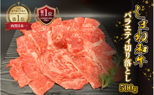 【黒毛和牛】しまね和牛　バラエティ切り落とし 500g