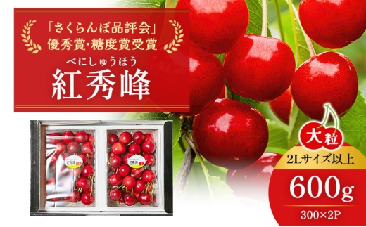 先行受付 北海道 仁木町産 ジャンボサイズ さくらんぼ 【 紅秀峰 】2Lサイズ以上 300g×2パック 計600g 　サクランボ チェリー フルーツ 果物 果物類  仁木町 仁木 [嶋田茂農園匠]