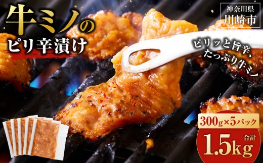 牛ミノ ピリ辛漬け 1.5kg ( 300g × 5パック ) 小分け 個包装 便利 牛肉 ホルモン ミノ 焼肉 焼き肉 お肉 肉 焼くだけ 冷凍 たれ 味付き BBQ アウトドア キャンプ 人気 おすすめ 神奈川 川崎【2026年9月発送】 2300802 - 神奈川県川崎市
