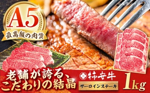 【2026年1月発送】最高級A5等級 三重県産黒毛和牛 柿安牛 サーロインステーキ 計1kg（200g×5枚）/ 牛肉 サーロインステーキ さーろいんすてーき 国産和牛 サーロインa5 冷蔵 サーロイン ステーキ 赤身 すてーき ステーキ肉 和牛 肉 国産 焼肉 焼き肉 BBQ すてーき肉 a5 バーベキュー ばーべきゅー / 亀山市 / 柿安本店 [AMBW005-1] 2298786 - 三重県亀山市