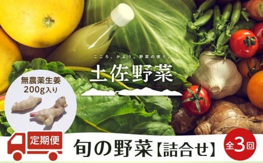 『定期便 全3回』無農薬生姜200gと旬の野菜の詰め合わせ[土佐野菜] | 野菜セット セット 新鮮 野菜 毎月 野菜定期便 人気 おすすめ 高知県 南国市