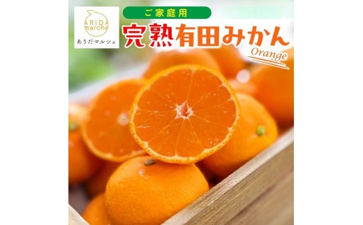 【訳あり・ご家庭用】 濃厚完熟 有田みかん 約1.2kg(1kg+200g)【先行予約】【2025年12月発送 】【MS3-1】