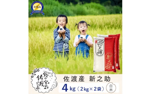 【新米予約】佐渡島産 新之助 白米4kg（2Kg×2袋） 2298586 - 新潟県佐渡市