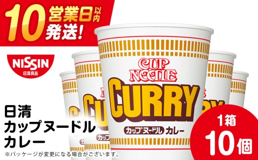 日清 カレーヌードル10食 ラーメン 麺 即席麺 麺類 ラーメン カップ麺 インスタントインスタント 麺類 カップラーメン
