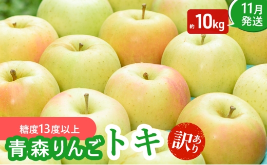 [11月発送](糖度13度以上) 訳あり品 家庭用 トキ 約 10kg [ 青森りんご 果物類 美味しい 採れたて 選りすぐり 高糖度 12度 ご家庭用 甘さ 驚き 果汁 土壌 肥料 ]