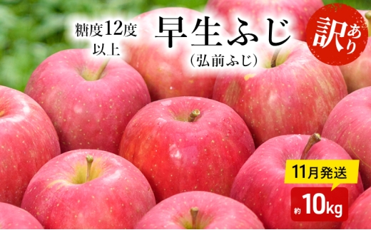りんご [ 11月発送 ]( 糖度12度以上 ) 訳あり品 家庭用 早生ふじ ( 弘前ふじ )約 10kg [ 青森りんご 果物類 美味しい 採れたて 選りすぐり 高糖度 ご家庭用 甘さ 驚き 果汁 土壌 肥料 ]