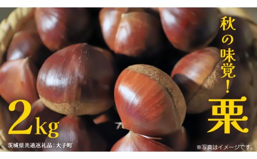 秋の味覚「 栗 」2kg [2025年9月上旬発送開始](茨城県共通返礼品:大子町) くり マロン 果物 スイーツ モンブラン 栗きんとん 生栗 焼き栗 甘栗