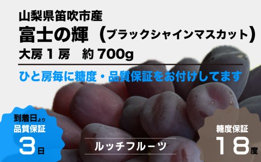 迫力のある大きな粒で、皮ごと食べられて、食感もよく大変に美味しいブドウです！