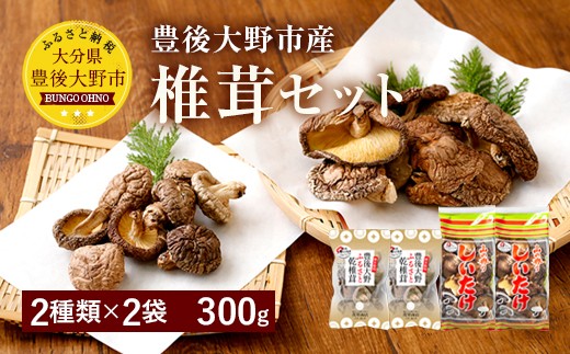 豊後大野市産 椎茸セット 合計300g