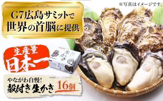 [3月29日(日)着]広島G7で提供された牡蠣![着日指定可能]やながわ自慢!殻付き 牡蠣 16個(約2kg)牡蠣 かき カキ 生牡蠣 殻付き 広島 江田島市/マルサ・やながわ水産有限会社 [XBL010] 牡蠣 生食 むき身 殻付き 殻付 殻 かき カキ 生牡蠣 広島牡蠣 オイスター カキフライ 魚介類 魚介 貝類 海鮮 広島県産 国産 産地直送 贈答 ギフト 特産品