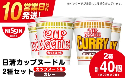 日清ヌードル2種セット カップヌードル・カレーヌードル各20食 ラーメン 麺 即席麺 麺類 カップ麺 インスタント カップラーメン