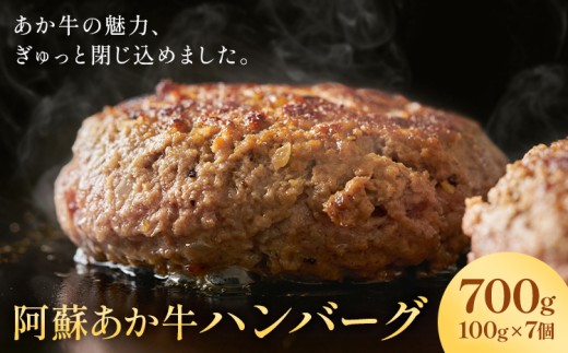 阿蘇あか牛 ハンバーグ 100g×7個