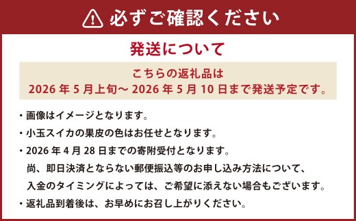 《母の日》 小玉スイカ1玉とカーネーション1鉢