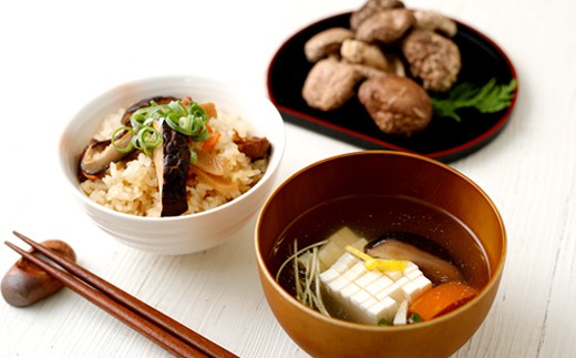 豊後大野市産 椎茸セット 合計300g