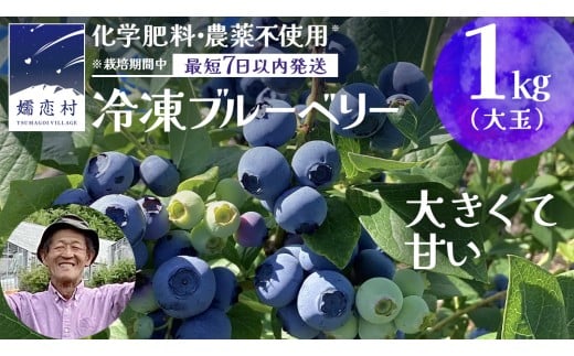 【 最短 7日以内 発送 】 冷凍 ブルーベリー 大玉 1kg 【 栽培期間中 化学肥料 農薬 不使用 】 数量限定 大粒 国産 フルーツ スムージー 果物 くだもの 農家直送 スイーツ アイス ノーザンハイブッシュ系 ミックス  [AT011tu] 1437138 - 群馬県嬬恋村