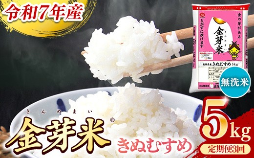 BG無洗米・金芽米きぬむすめ 5kg×3ヵ月 定期便【毎月】【令和7年産 3ヶ月 時短 健康 米 BG 無洗米 計15kg 島根県産 新生活応援 お試し 節水 時短 アウトドア キャンプ 東洋ライス 健康 島根県 安来市】